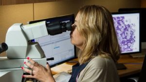 Con Inteligencia Artificial logran - Con Inteligencia Artificial logran