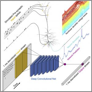 Crean red de aprendizaje profundo a partir de neuronas artificiales. 1 Crean red de aprendizaje profundo - Crean red de aprendizaje profundo