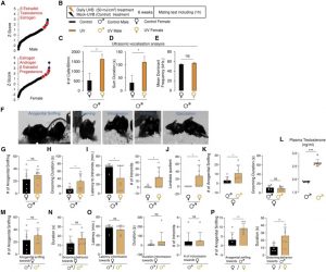 Radiación ultravioleta de la luz solar, aumenta el deseo sexual. 3 Radiación ultravioleta de la luz solar - Radiación ultravioleta de la luz solar