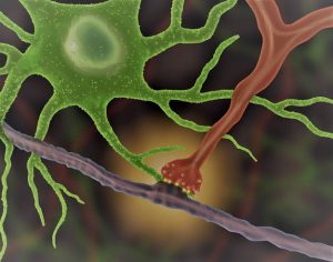 Crean red de aprendizaje profundo a partir de neuronas artificiales. 2 Crean red de aprendizaje profundo - Crean red de aprendizaje profundo