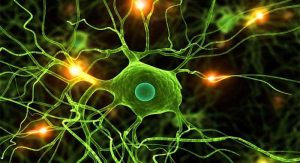 Crean red de aprendizaje profundo a partir de neuronas artificiales. 3 Crean red de aprendizaje profundo - Crean red de aprendizaje profundo