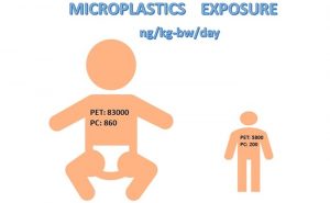 Microplásticos en heces de Bebés - Microplásticos en heces de Bebés