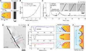 Un grupo de físicos ha creado gotas cuadradas y celosías líquidas. 4 Un grupo de físicos ha creado - Un grupo de físicos ha creado