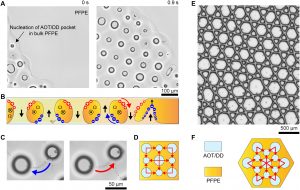 Un grupo de físicos ha creado gotas cuadradas y celosías líquidas. 2 Un grupo de físicos ha creado - Un grupo de físicos ha creado