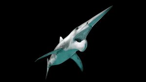 tiburones - tiburones