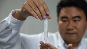 Investigadores chinos lograron - Investigadores chinos lograron