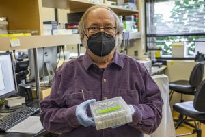 Nacen 2 polluelos de cóndor - Nacen 2 polluelos de cóndor