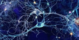 Visión perdida por ACV - Visión perdida por ACV
