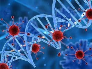 Plantas utilizadas por aborígenes australianos, podrían combatir el cáncer. 2 Plantas utilizadas por aborígenes - Plantas utilizadas por aborígenes