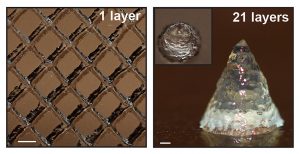 Novedosa tecnología en impresión - Novedosa tecnología en impresión