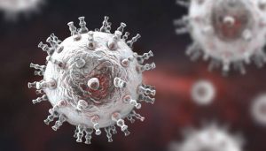 Descubren como un virus - Descubren como un virus