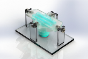 Crean tejido capaz de reparar - Crean tejido capaz de reparar