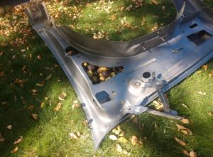 Ardillas almacenan más de 100 kilogramos de nueces en automóvil. 4 Ardillas almacenan más de 100 kilogramos - Ardillas almacenan más de 100 kilogramos