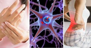 Epstein-Barr: probable causa principal de la Esclerosis múltiple. 6 Epstein-Barr probable causa - Epstein-Barr probable causa