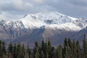 Te presentamos las noticias que quizá te perdiste la semana pasada (02.01.2022) 9 -