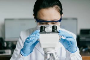 Descubren bacteria de 1 cm, observable a simple vista. 3 Bacteria - Bacteria