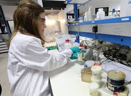 Crean leche/queso sin necesidad de recurrir a vacas. 2 -