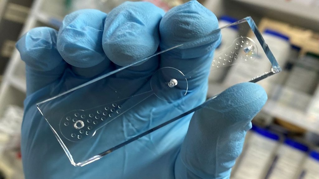 Científico enseñando el dispositivo gusano en un chip para ayudar en el diagnóstico de cáncer de pulmón