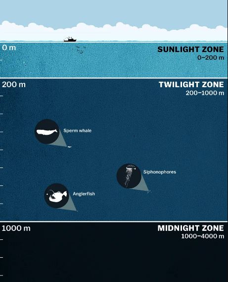 misterios del océano - misterios del océano