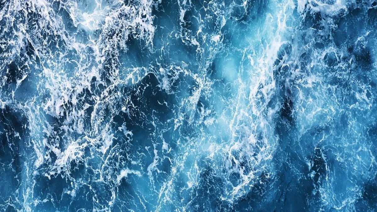 7 misterios del océano que los científicos aún no han resuelto