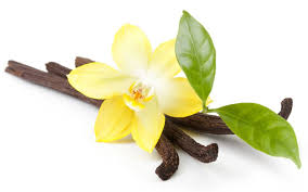 Finalmente, la ciencia ha logrado determinar el olor más agradable/desagradable para el ser humano 5 -