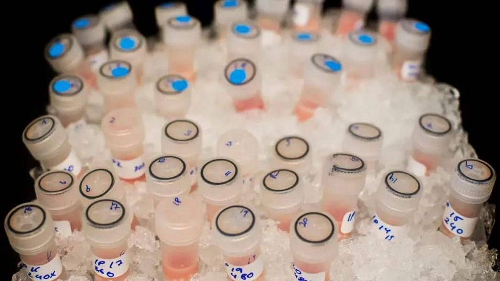 Virus experimental que mata el cáncer es administrado en el primer paciente 1 -