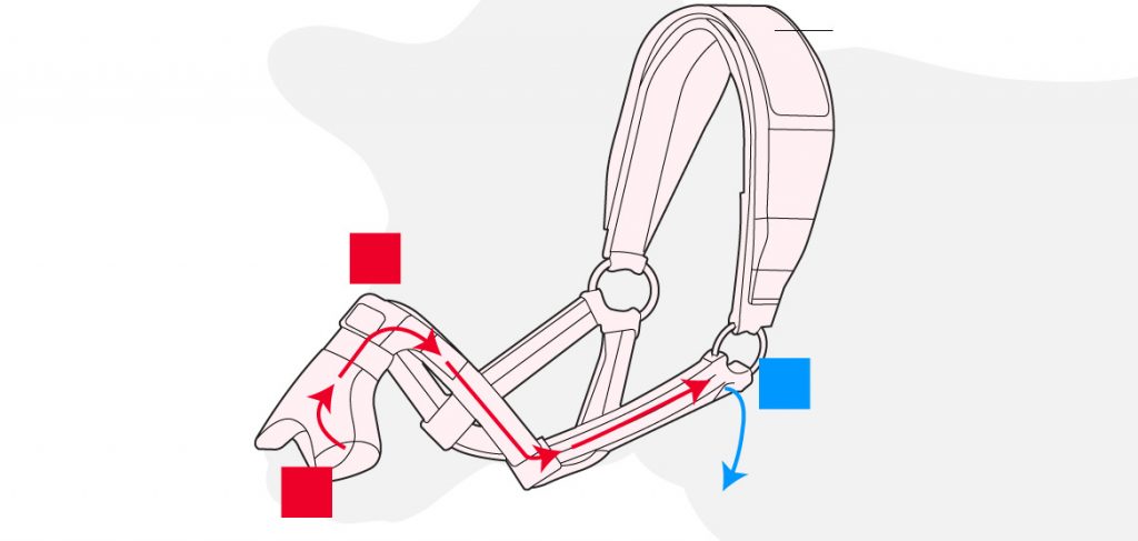 Mascara para vacas que atrapa eructos reduciendo las emisiones de metano gana el premio Prince Charles 2 -