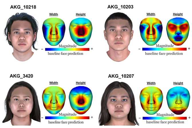 reconstrucción facial - reconstrucción facial