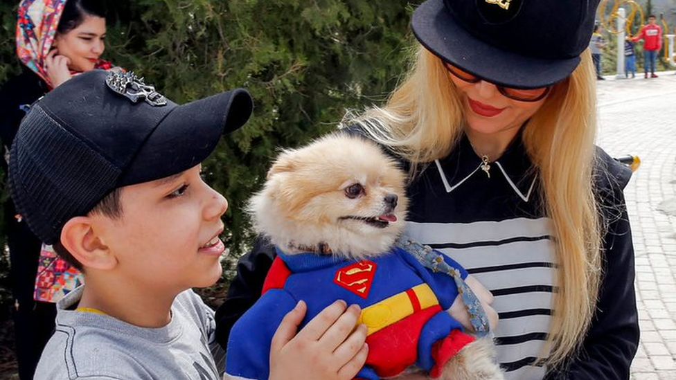 El país donde tener una mascota podría llevarte pronto a la cárcel 4 -