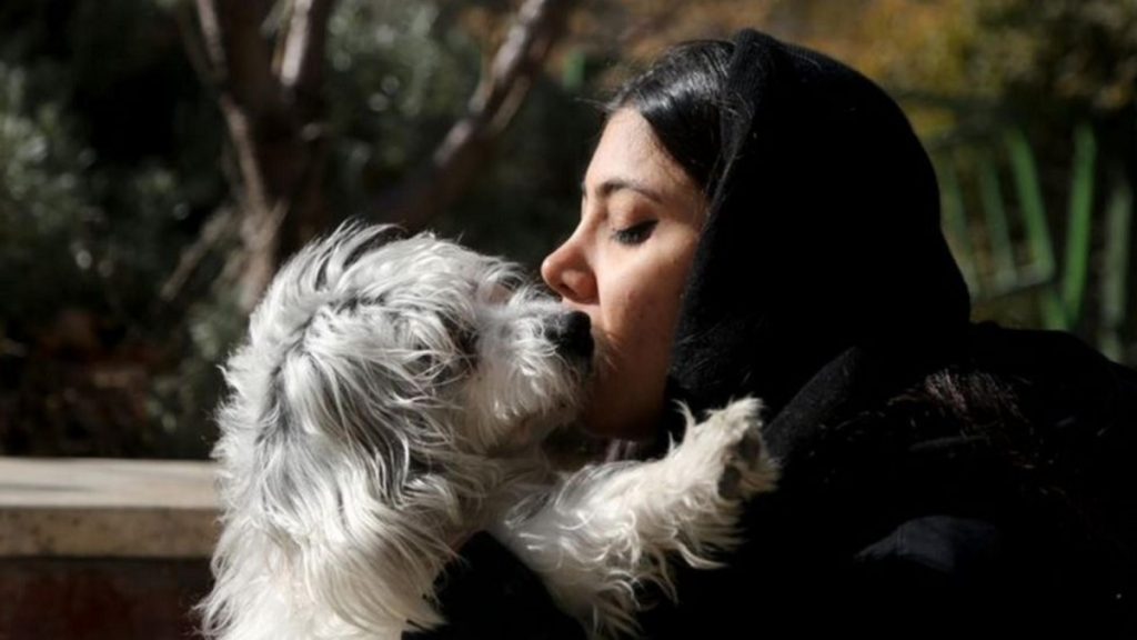 El país donde tener una mascota podría llevarte pronto a la cárcel 1 -