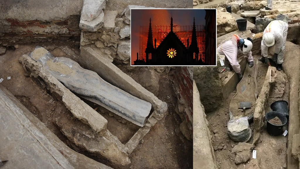 sarcofago,catedral,descubrimiento,paris - sarcofago