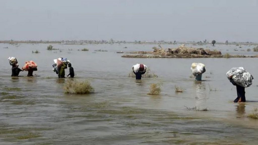El mundo se dirige a un 'territorio inexplorado de destrucción', dice informe climático 1 -