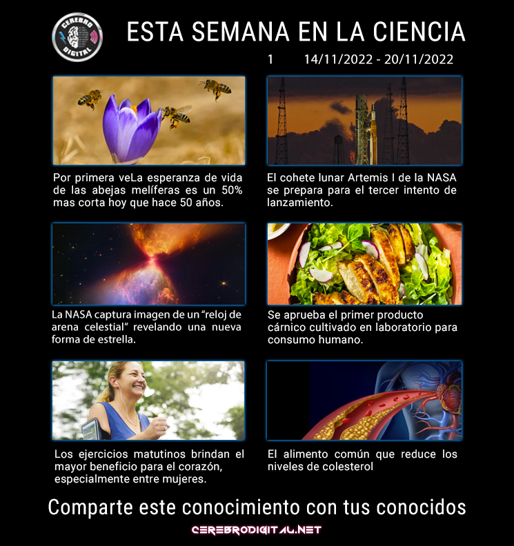 Esta semana en la ciencia del 14 al 20 de noviembre del 2022 1 semana en la ciencia,noricias,ciencia,abejas,NASA - semana en la ciencia