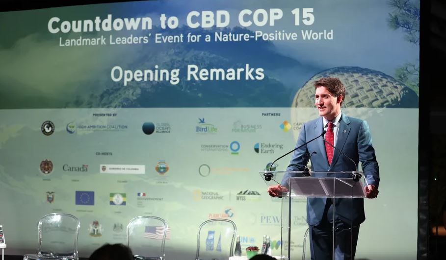 Los lideres mundiales tienen 2 semanas para acordar un plan para salvar la naturaleza 3 -