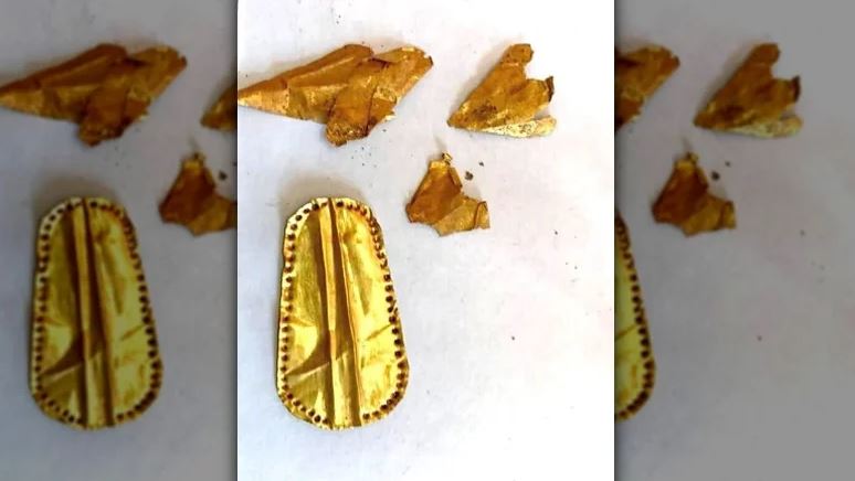 Los nuevos descubrimientos históricos mas impresionantes de 2022 12 -