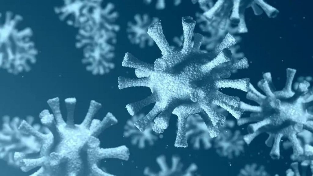 Los científicos descubren la primera forma de vida conocida por comer virus 1 -