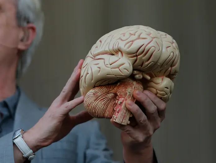 15 conceptos erróneos y realidades sorprendentes sobre la demencia y el Alzheimer 3 -