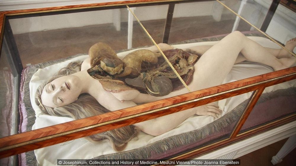 Belleza, Horror y Ciencia en las Venus Anatómicas 10 venus anatómica - venus anatómica