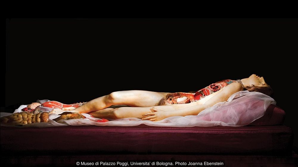 Belleza, Horror y Ciencia en las Venus Anatómicas 2 venus anatómica - venus anatómica