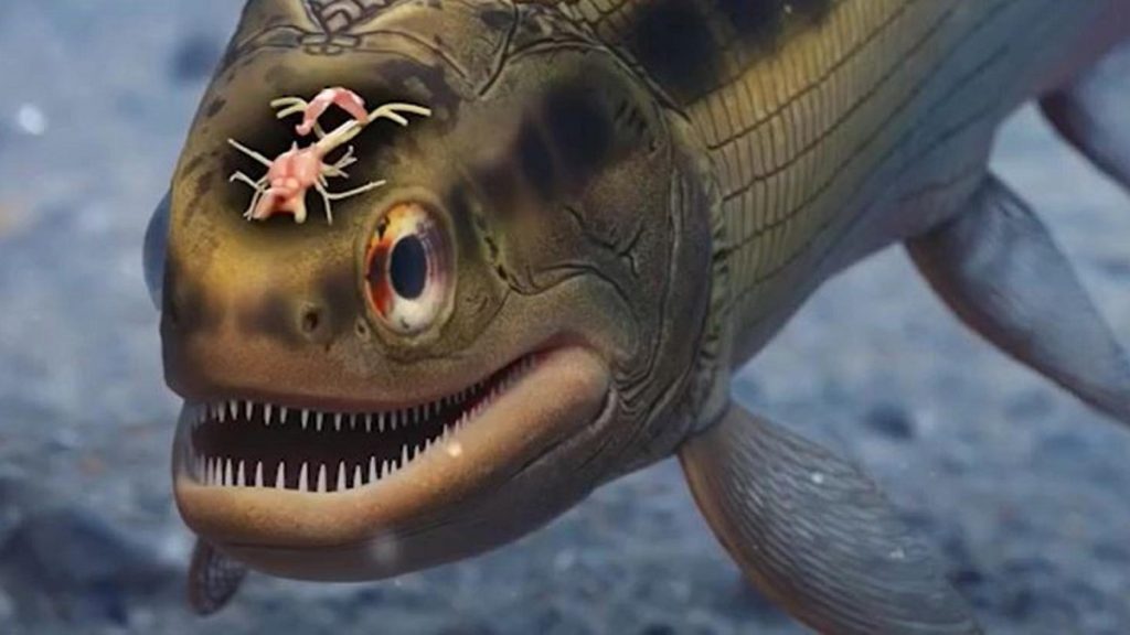 Científicos descubrieron accidentalmente el cerebro más antiguo de todos los vertebrados 1 -