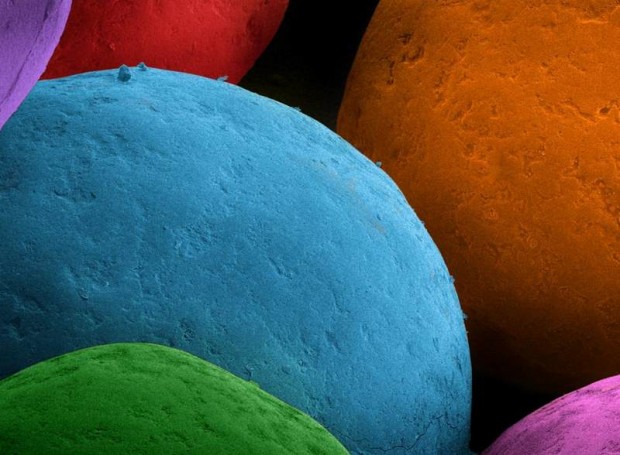 vistas bajo un microscopio - vistas bajo un microscopio