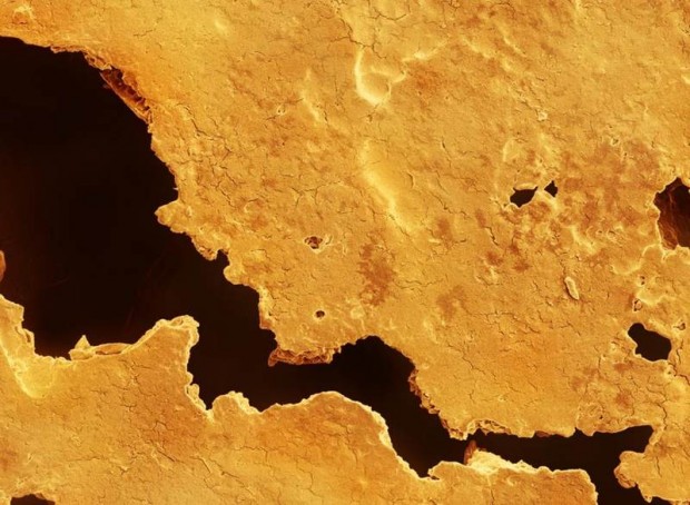 vistas bajo un microscopio - vistas bajo un microscopio