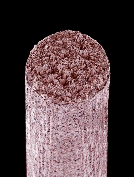 vistas bajo un microscopio - vistas bajo un microscopio