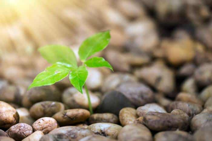 10 adivinanzas con relación a la ciencia que ayudarán a tu habilidad mental 6 adivinanzas - adivinanzas