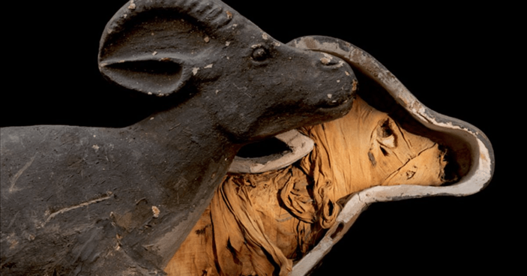 pirámide - pirámide