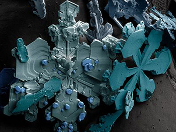 vistas bajo un microscopio - vistas bajo un microscopio