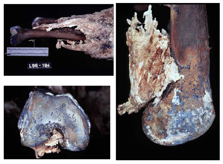 Vivianita: El necro-mineral que no sabías que existía 2 -