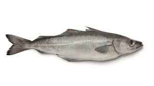 imitation crab - imitation crab