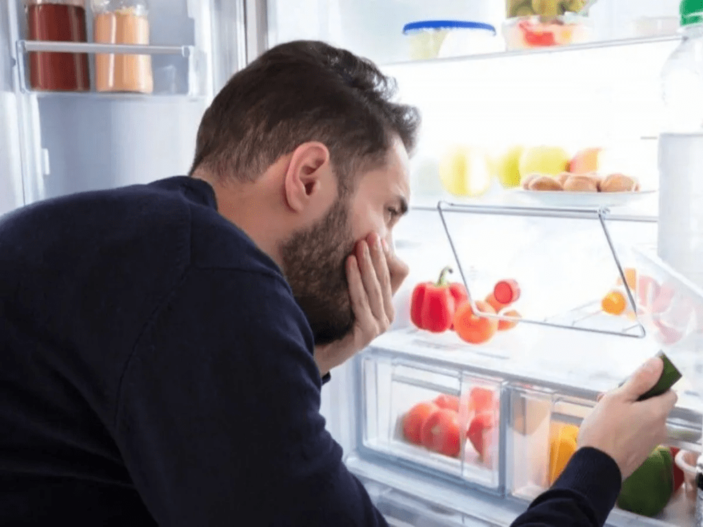 Debido a una bacteria, joven de 19 años pierde sus extremidades después de consumir sobras de comida 2 bacteria - bacteria