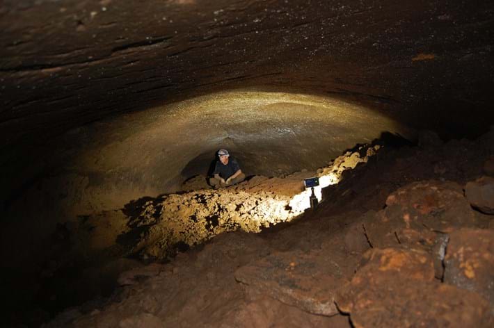 Estos túneles masivos fueron excavados por osos perezosos antiguos del tamaño de elefantes 5 -